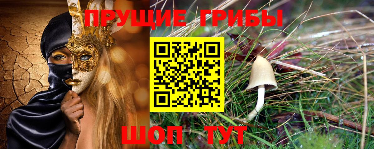 Коряжма  Галлюциногенные грибы Psilocybe  Вход с VPN  Галлюциногенные грибы Magic Shrooms 