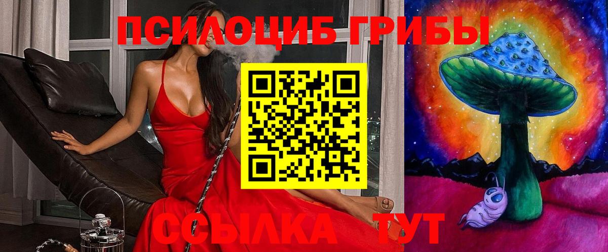 Псилоцибиновые грибы GOLDEN TEACHER Коряжма